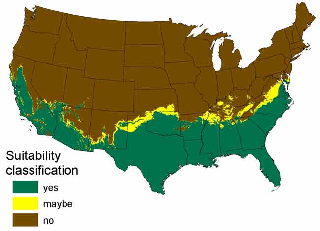 Mãng xà nguy hiểm chết người sẽ vượt qua biên giới Florida?